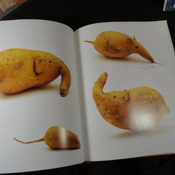 Play with Food Fun Cook book~2002 edition~Cute fun Food ideas, hardcover - Picture 4 of 5